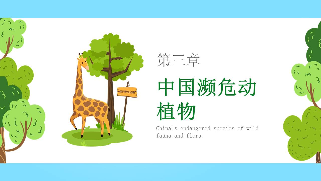 节日班会 (20).pptx